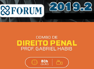 Curso Direito Penal – Prof. Gabriel Habib Parte Geral e Parte Especial 2019.2